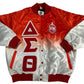 Delta Sigma Theta Rainbow Bomber Jacket