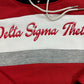 DELTA SIGMA THETA CLASSIC PREMIUM HOODIE
