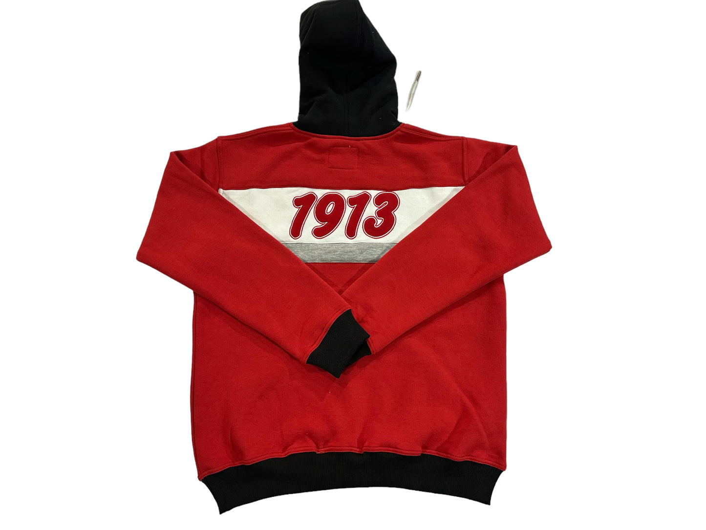 DELTA SIGMA THETA CLASSIC PREMIUM HOODIE