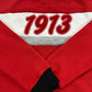 DELTA SIGMA THETA CLASSIC PREMIUM HOODIE