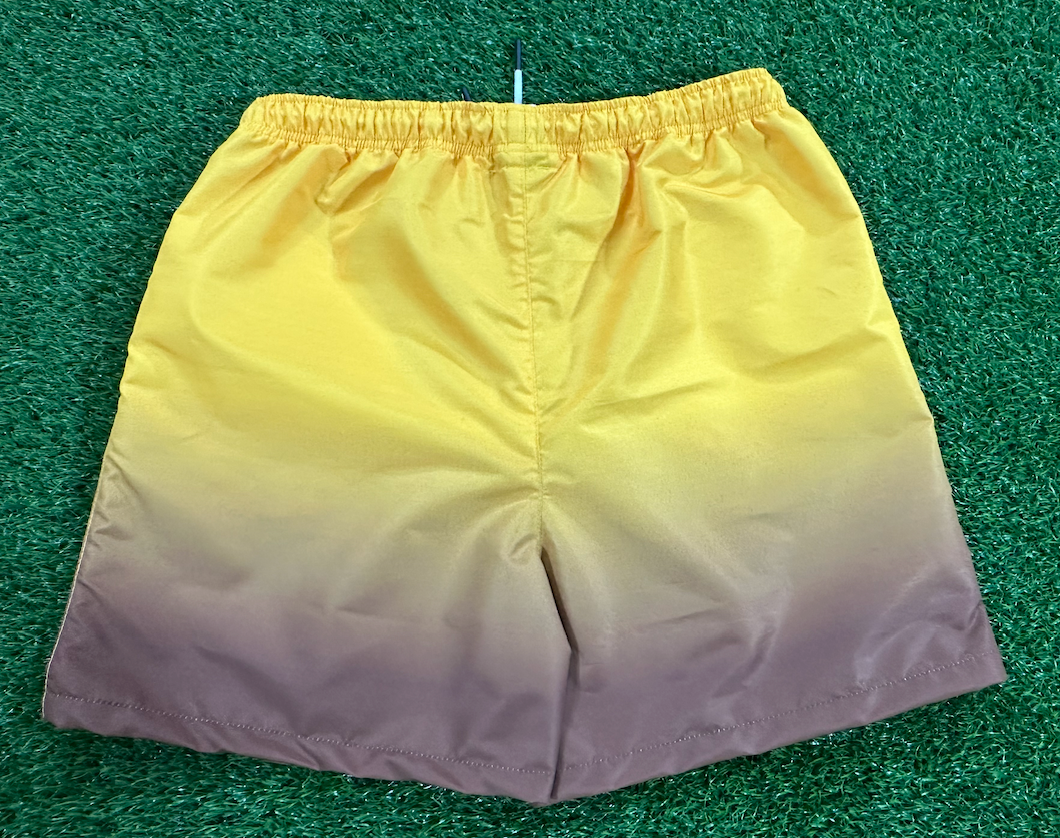 IOTA PHI THETA SUMMER SHORTS
