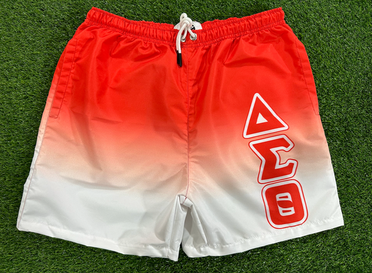 DELTA SIGMA THETA SUMMER SHORTS