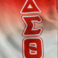 DELTA SIGMA THETA SUMMER SHORTS