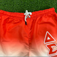 DELTA SIGMA THETA SUMMER SHORTS
