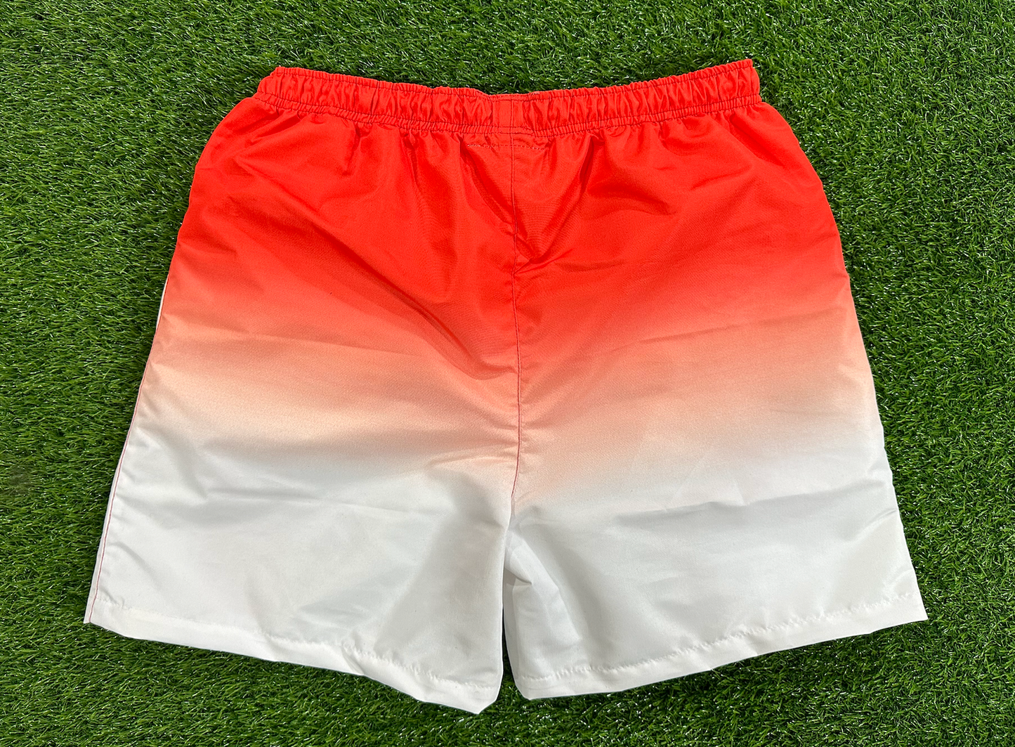 DELTA SIGMA THETA SUMMER SHORTS