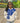 Zeta Phi Beta Hooded Windbreaker Jacket, Stitched ZPB Greek Letter Colorblock Jacket